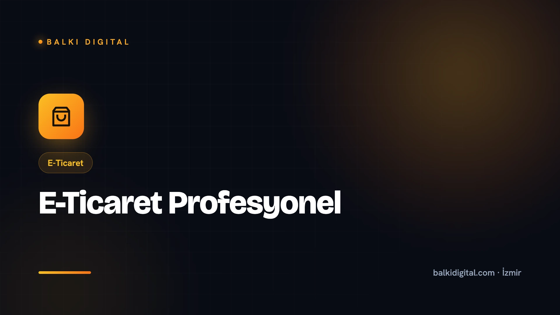 E-Ticaret Profesyonel