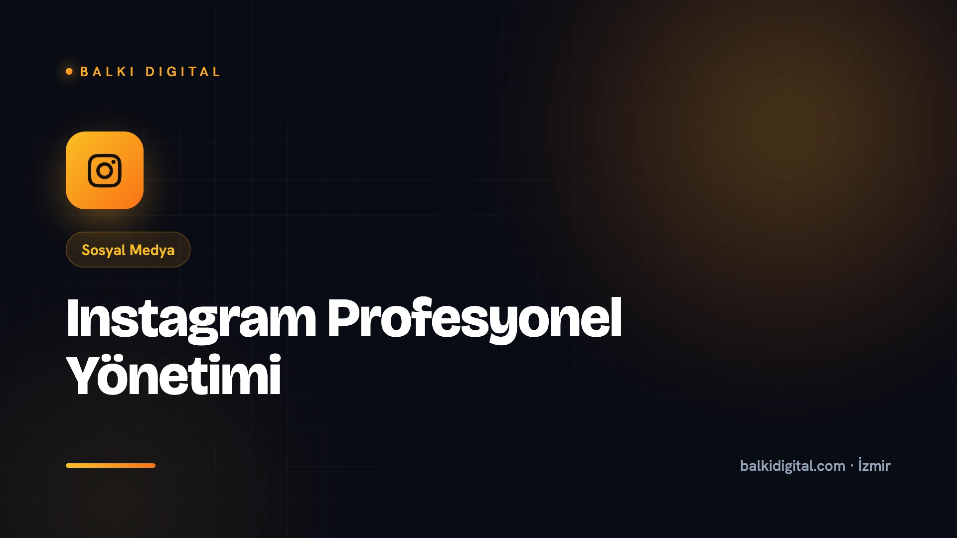 Instagram Profesyonel Yönetimi