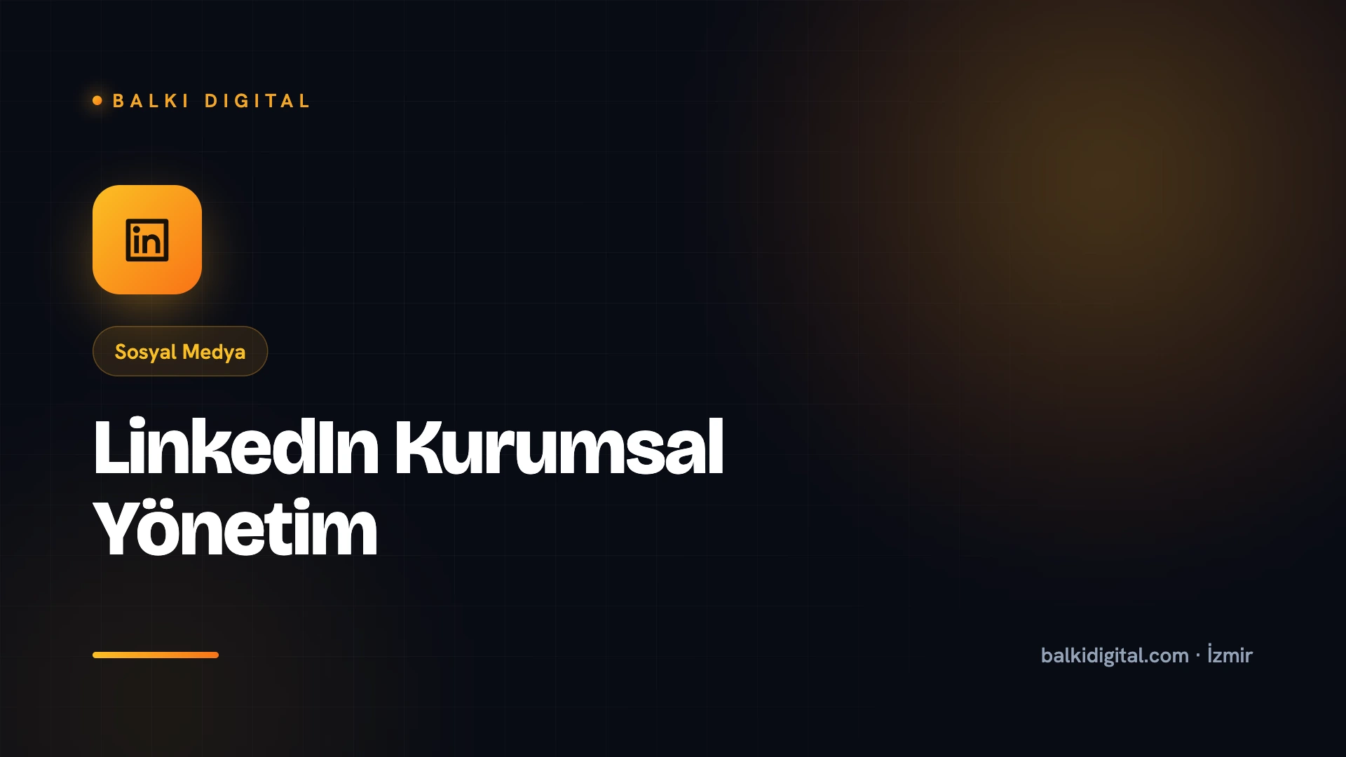 LinkedIn Kurumsal Yönetim