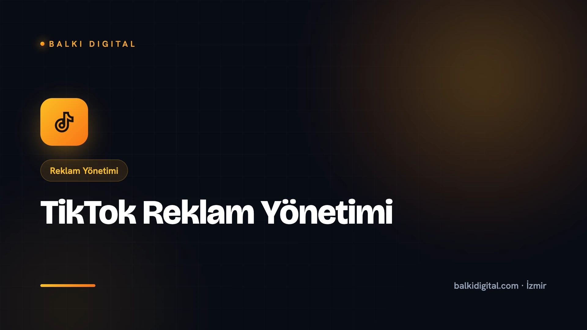 TikTok Reklam Yönetimi